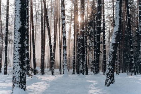 Update from POST Programme Director - January 2023